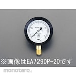 ESCO G 3/8 "/100mm/0-1.0MPa Sealed pressure gauge