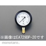 ESCO G 3/8 &quot;/100mm/0-1.6MPa Sealed pressure gauge
