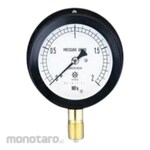 ESCO G 3/8&quot;/75mm/0-10MPa Pressure Gauge with flange