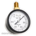 Migishita Seiki Mfg. Pressure gauge for general steam Φ60 (with test report and traceability diagram)