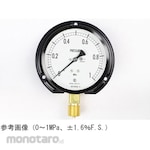 NAGANO KEIKI Regular pressure gauge (Φ100) AE20-241 series