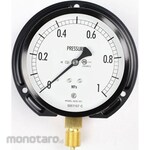 NAGANO KEIKI Regular pressure gauge (Φ100) vertical B frame for steam AE20-231 series
