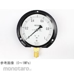 NAGANO KEIKI Regular pressure gauge (Φ100) vertical B frame for steam/vibration resistant AE20-231 series