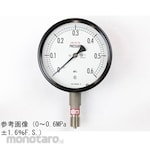 NAGANO KEIKI Sealed pressure gauge (100Φ) Vertical A-frame BE10-133 series