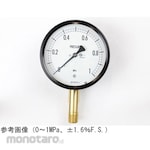 NAGANO KEIKI Sealed pressure gauge (100Φ) Vertical A-frame BE10-181 series