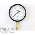 NAGANO KEIKI Sealed pressure gauge (100Φ) Vertical A-frame BE12-131 series