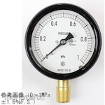 NAGANO KEIKI Sealed pressure gauge (75Φ) Vertical A-frame BC12-181 series