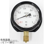 NAGANO KEIKI Sealed pressure gauge (75Φ) vertical B frame BC12 series