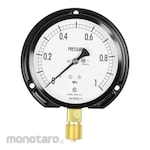 NAGANO KEIKI Standard pressure gauge (Φ100) AE20-241 series