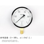 NAGANO KEIKI Standard pressure gauge (Φ100) Vertical A-frame Vibration-resistant AE20-131 series