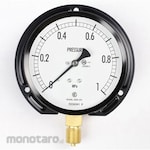 NAGANO KEIKI Standard pressure gauge (Φ100) Vertical B frame AE20-231 series