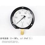 NAGANO KEIKI Standard pressure gauge (Φ100) Vertical B frame AE20-231 series