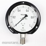 NAGANO KEIKI Standard pressure gauge (Φ100) Vertical B frame AE20-243 series