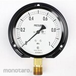NAGANO KEIKI Standard pressure gauge (Φ100) Vertical B frame AE20-291 series