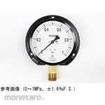 NAGANO KEIKI Standard pressure gauge (Φ100) Vertical B frame AE20-291 series