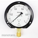 NAGANO KEIKI Standard pressure gauge (Φ100) Vertical B frame Vibration-resistant AE20-241 series