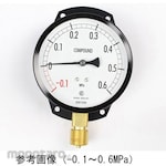 NAGANO KEIKI Standard pressure gauge (Φ100) Vertical C-frame AE20-841 series