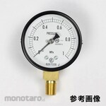 NAGANO KEIKI Standard pressure gauge (Φ60) Vertical A-frame AA10-171 series