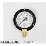 NAGANO KEIKI Standard pressure gauge (Φ60) Vertical B frame Vibration-resistant AA10-221 series