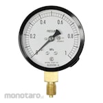 NAGANO KEIKI Standard pressure gauge (Φ75) Vertical A-frame AC20-121 series