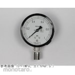 NAGANO KEIKI Standard pressure gauge (Φ75) Vertical A-frame AC20-183 series
