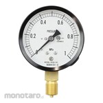 NAGANO KEIKI Standard pressure gauge (Φ75) Vertical A-frame Heat-resistant AC20-131 series