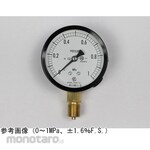 NAGANO KEIKI Standard pressure gauge (Φ75) Vertical A-frame for steam AC20-131 series