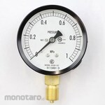 NAGANO KEIKI Standard pressure gauge (Φ75) Vertical A-frame for steam and vibration-resistant AC20-131 series
