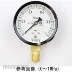 NAGANO KEIKI Standard pressure gauge (Φ75) Vertical A-frame for steam and vibration-resistant AC20-131 series