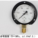 NAGANO KEIKI Standard pressure gauge (Φ75) Vertical B frame AC20-231 series