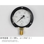 NAGANO KEIKI Standard pressure gauge (Φ75) Vertical B frame AC20-231 series