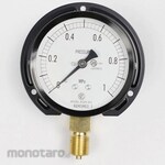 NAGANO KEIKI Standard pressure gauge (Φ75) Vertical B frame AC20-231 series