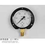 NAGANO KEIKI Standard pressure gauge (Φ75) Vertical B frame AC20-271 series