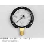 NAGANO KEIKI Standard pressure gauge (Φ75) Vertical B frame, vibration-resistant AC20-231 series