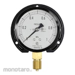 NAGANO KEIKI Standard pressure gauge (Φ75) Vertical B frame, vibration-resistant AC20-231 series