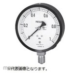 NAGANO KEIKI Standard pressure gauge AA10-121 AT1/4-60X4MPA