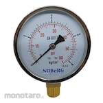 NUbeRG Pressure Gauge