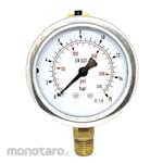 Non Brand Pressure Gauge