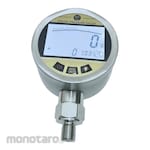 Non Brand Pressure Vacuum Gauge