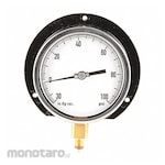 Non Brand Process Vacuum Gauge