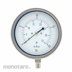 PIC GAUGES Low Pressure Gauge Capsule