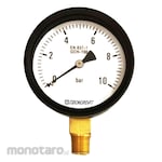 TECHCROFT Pressure Gauge GSH100