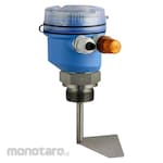 Endress Hauser Soliswitch FTE20 Series Paddle Switch Level Sensors