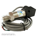 TECHCROFT Pressure Transmitter Series Manual EPT-100