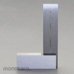 ESCO 300x175mm square with stand (stainless steel)
