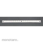 ESCO Straight Ruler Left / Bottom Scale 100mm with Screw (Penggaris / Mistar)