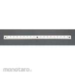 ESCO Straight Ruler Zero Centered, Lower Scale 100mm (Penggaris / Mistar)