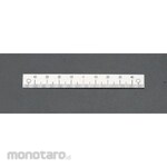 ESCO Straight Ruler Zero Centered, Lower Scale 100mm (Penggaris / Mistar)
