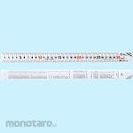 SK Catch Up Scale Ruler (Penggaris / Mistar)