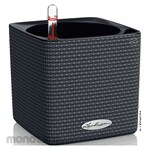 LECHUZA Planter CUBE Color